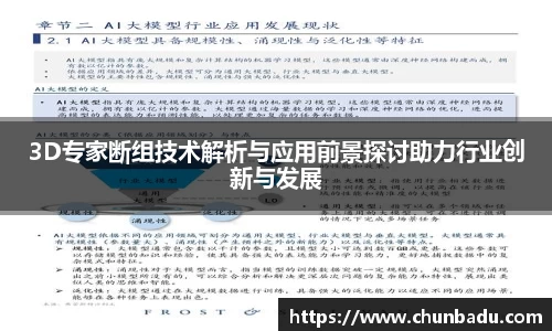 3D专家断组技术解析与应用前景探讨助力行业创新与发展